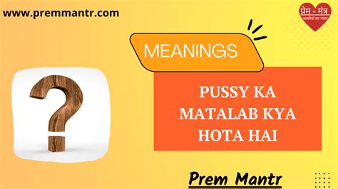 pussy in hindi|How to say pussy in Hindi .